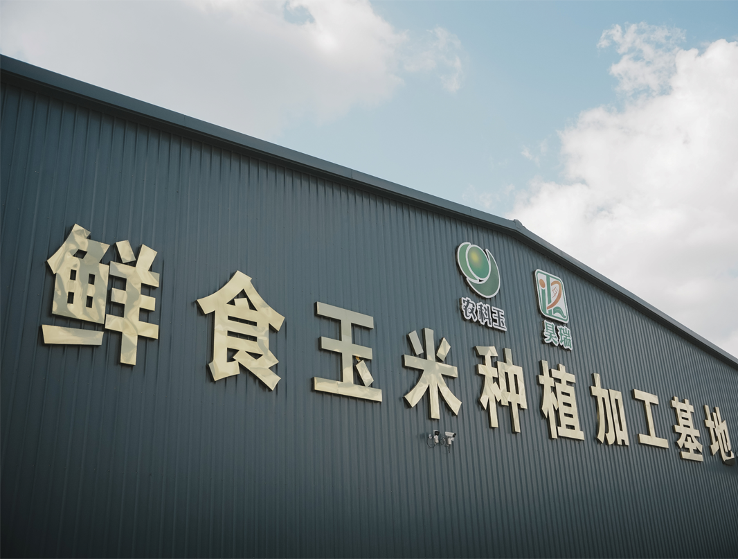 About NONGKEYU