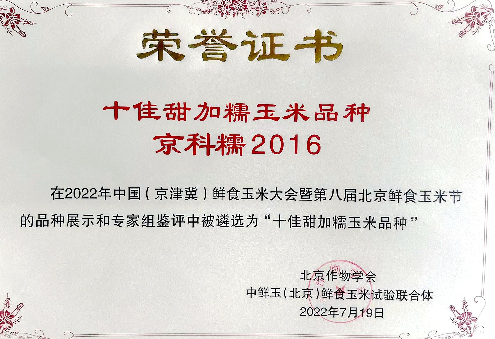 十佳甜加糯玉米品种