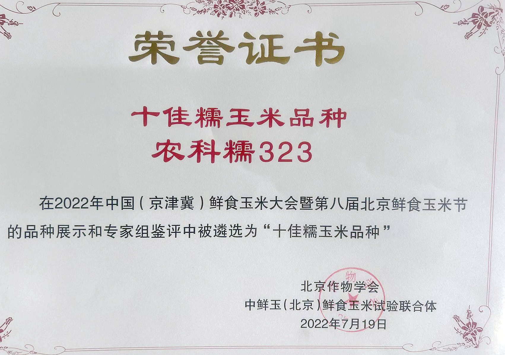 十佳糯玉米品种