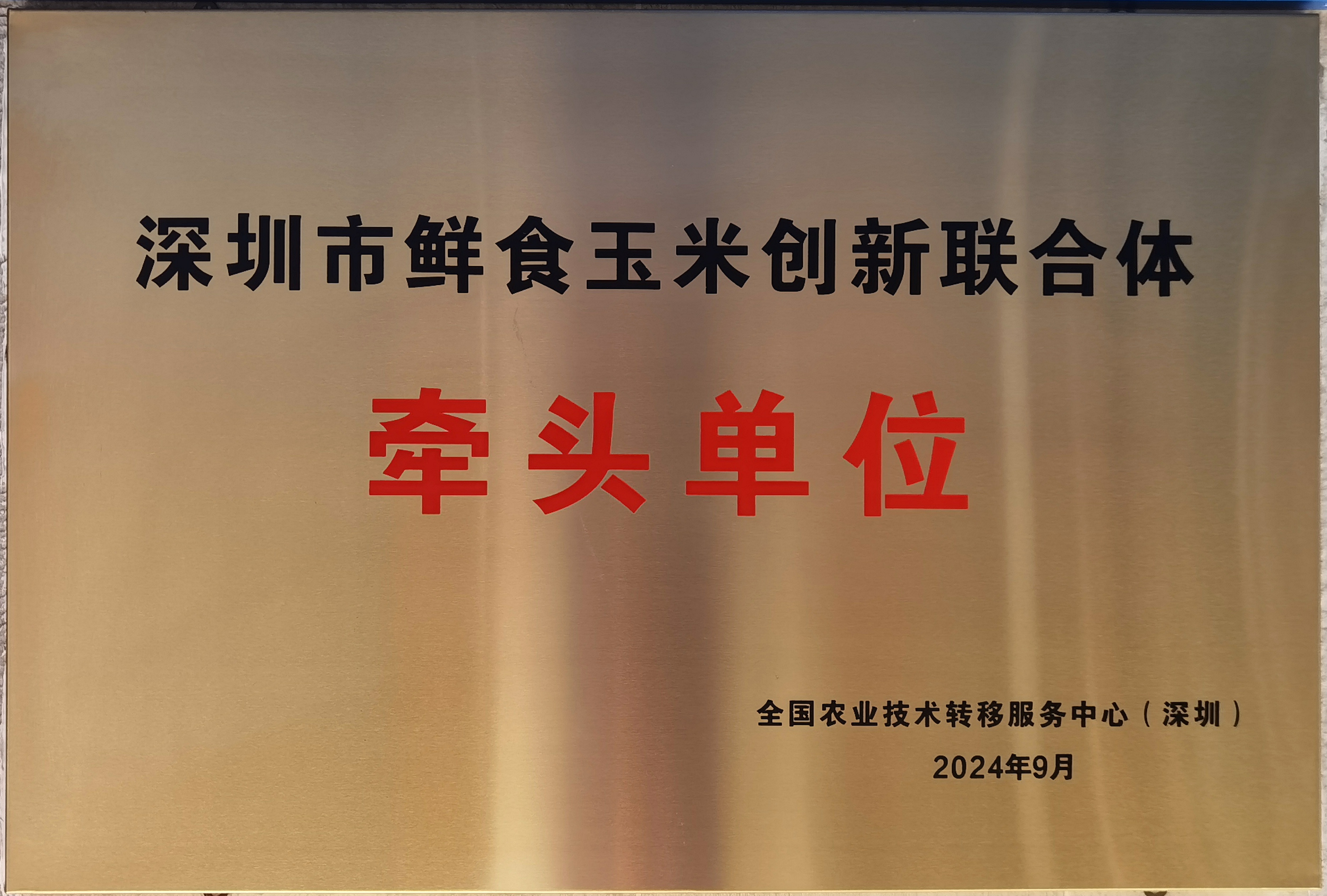 深圳市鲜食玉米创新联合体牵头单位